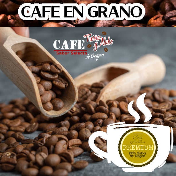 Café en Grano Premium